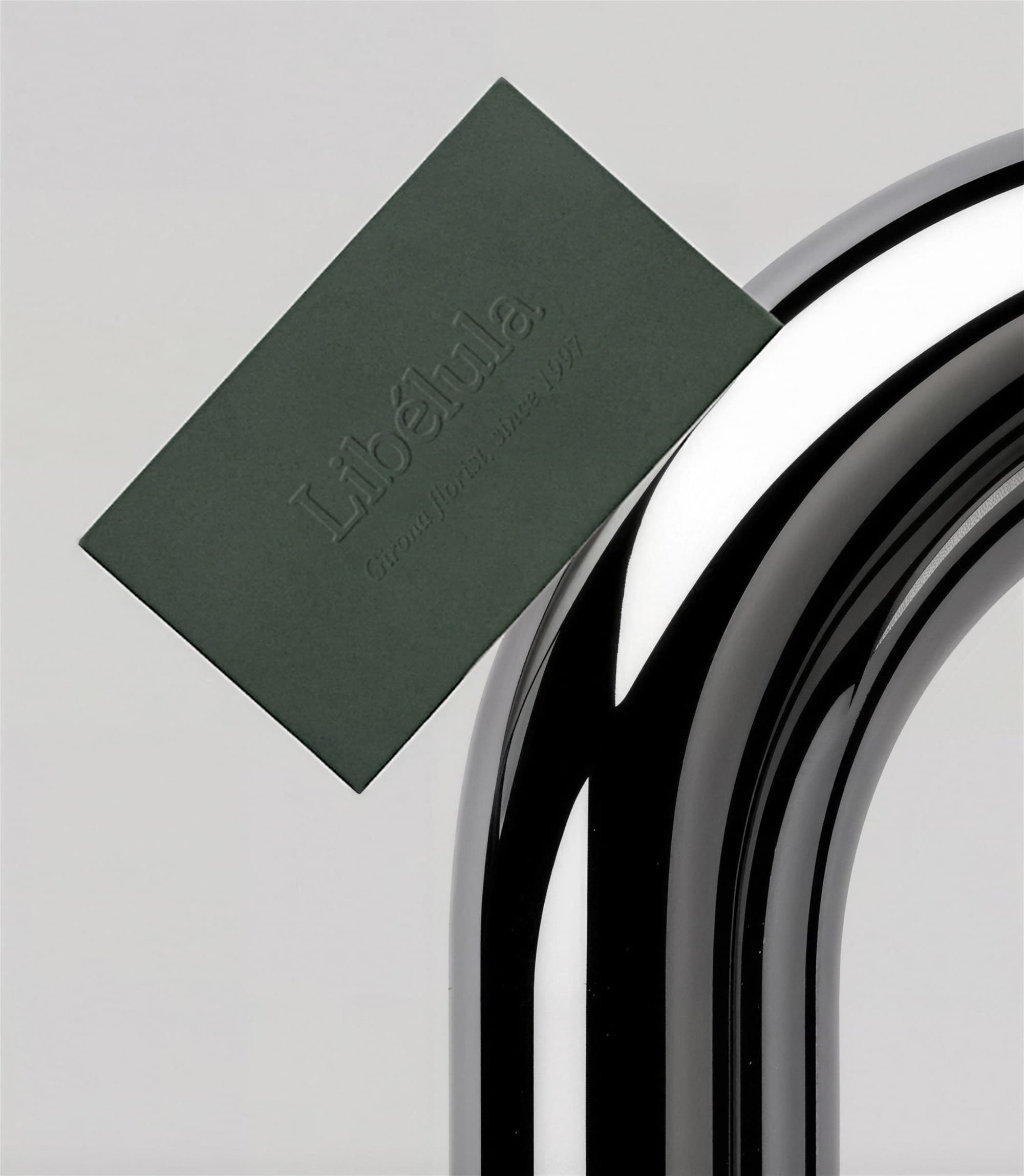 Libélula — 3