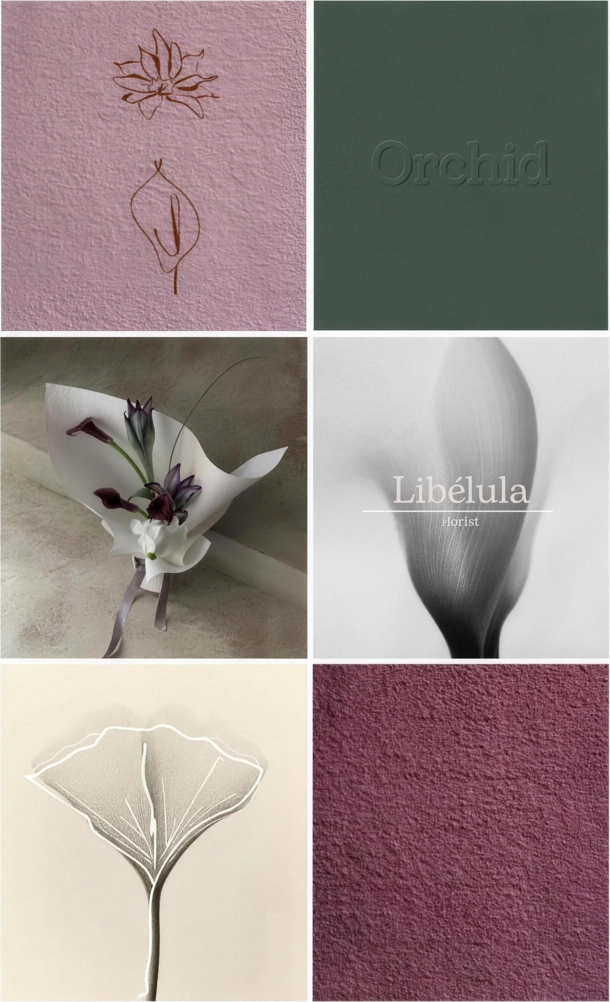 Libélula — 4